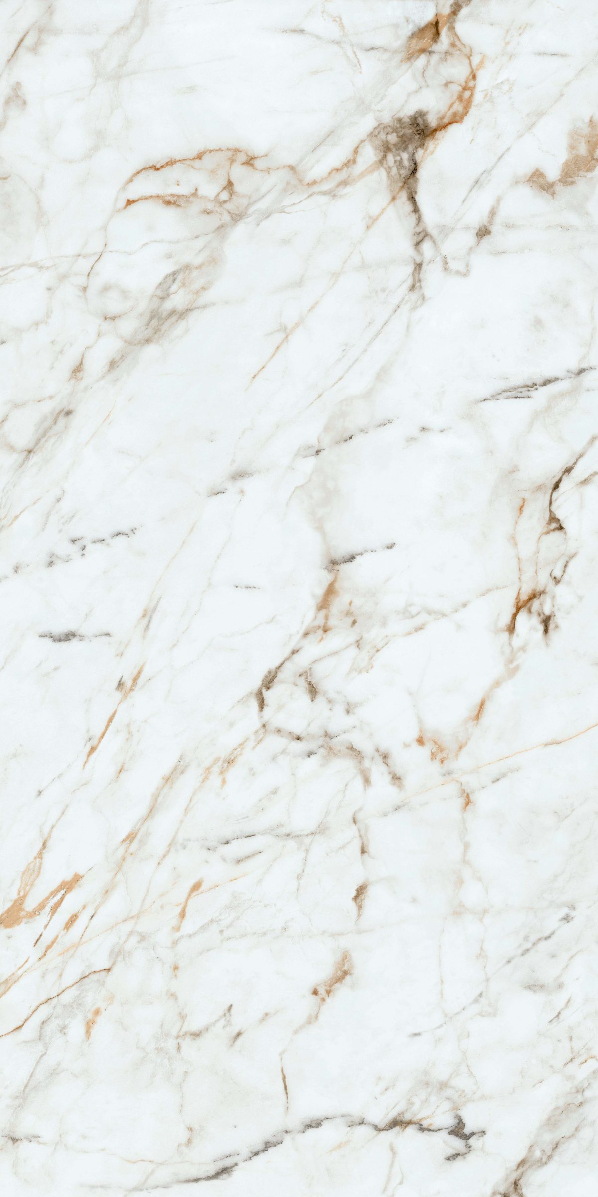 Aster White Rectified 23.25" x 46.9" Polished
