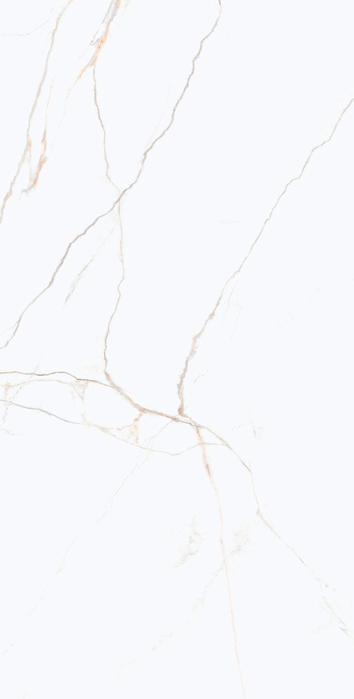 Acquilea Oro Rectified 23.6" x 47.25" Matte