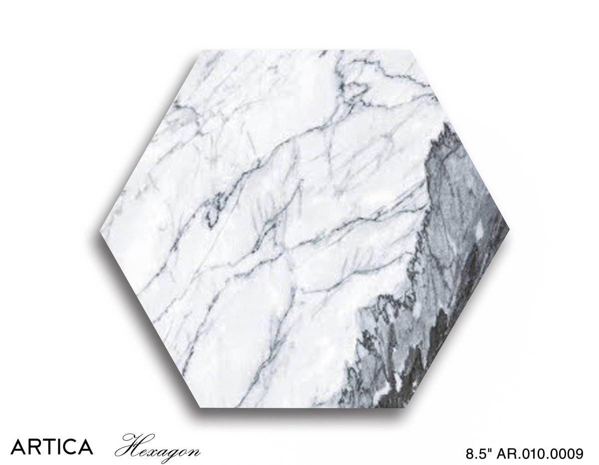 Artica 8.5" Hexagon Tile Polished