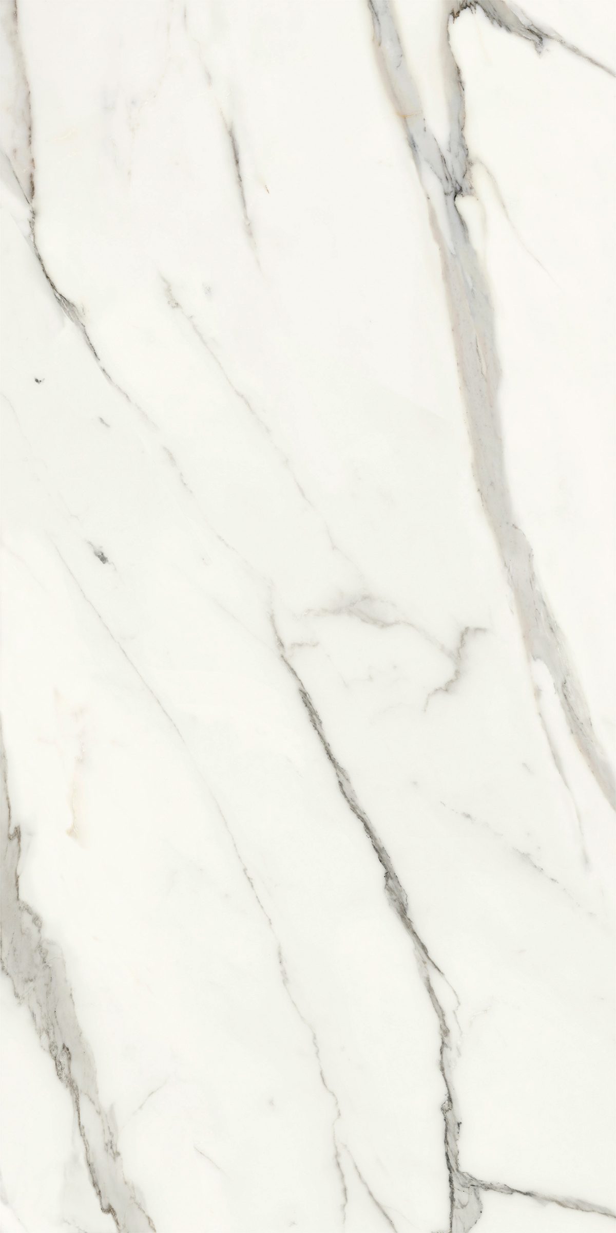 Patmos Rectified 23.6" x 47.25" Polished