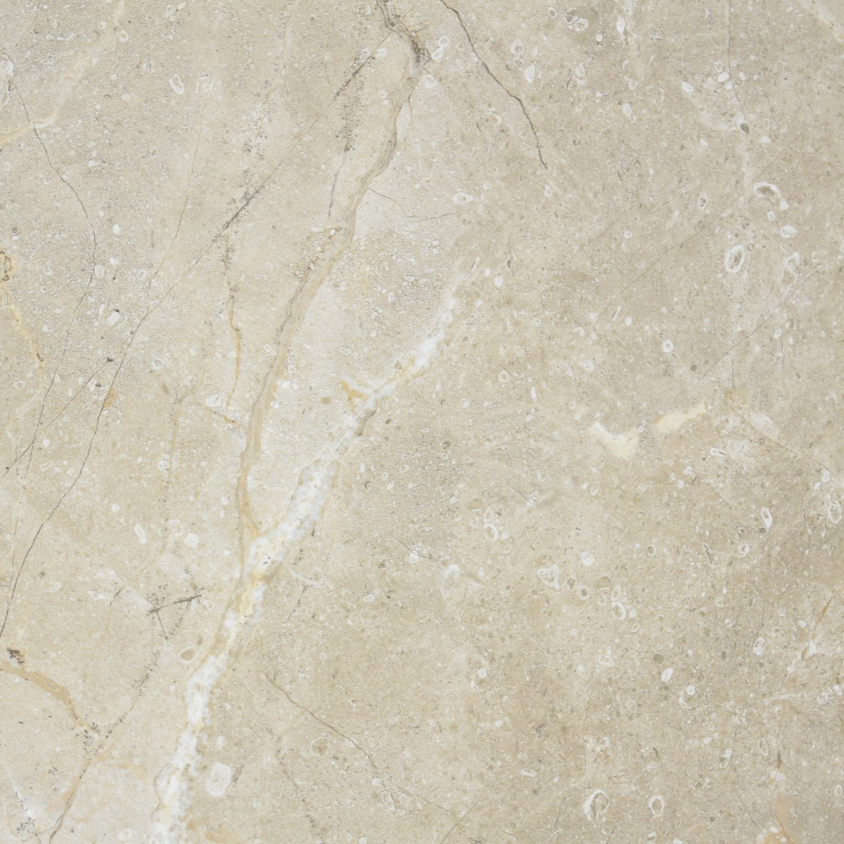 Atenas Rectified 23.5" x 23.5" Polished