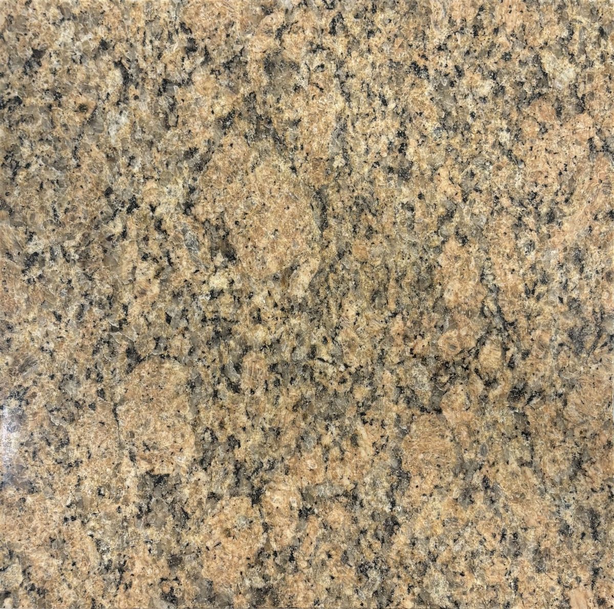 Alviano Sand Beige Mosaic 2" x 2" Matte