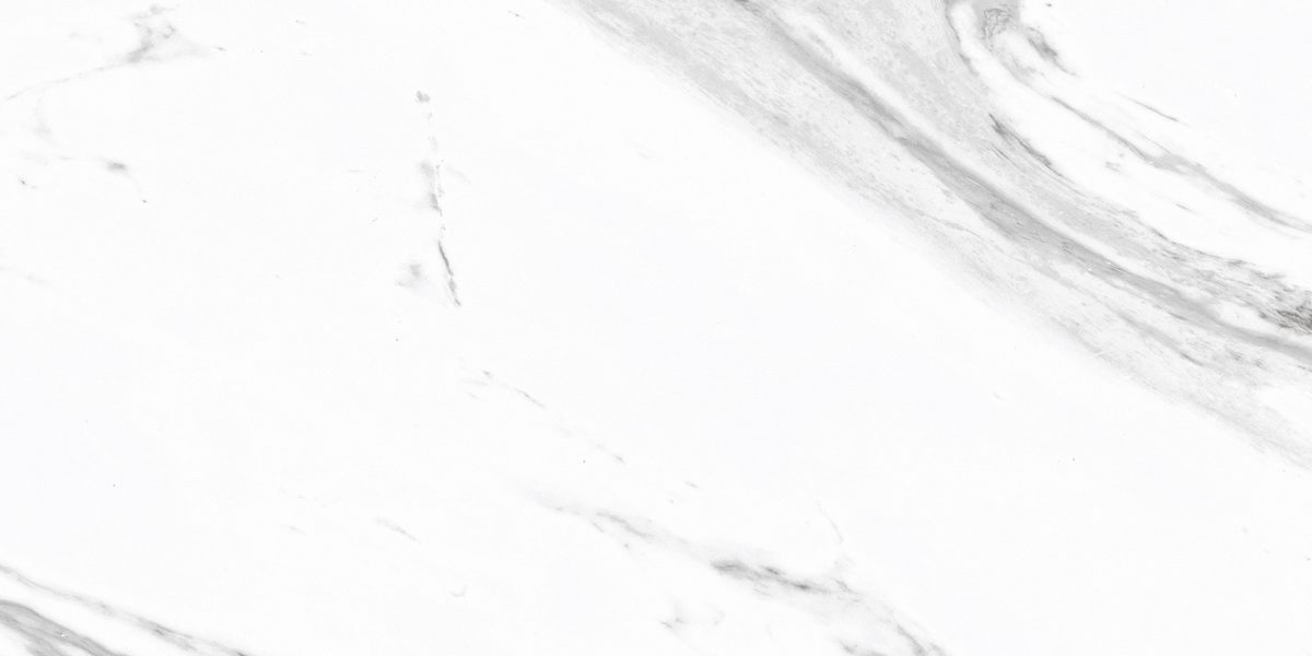Allemara Calacatta 11.75" x 23.6" Glossy