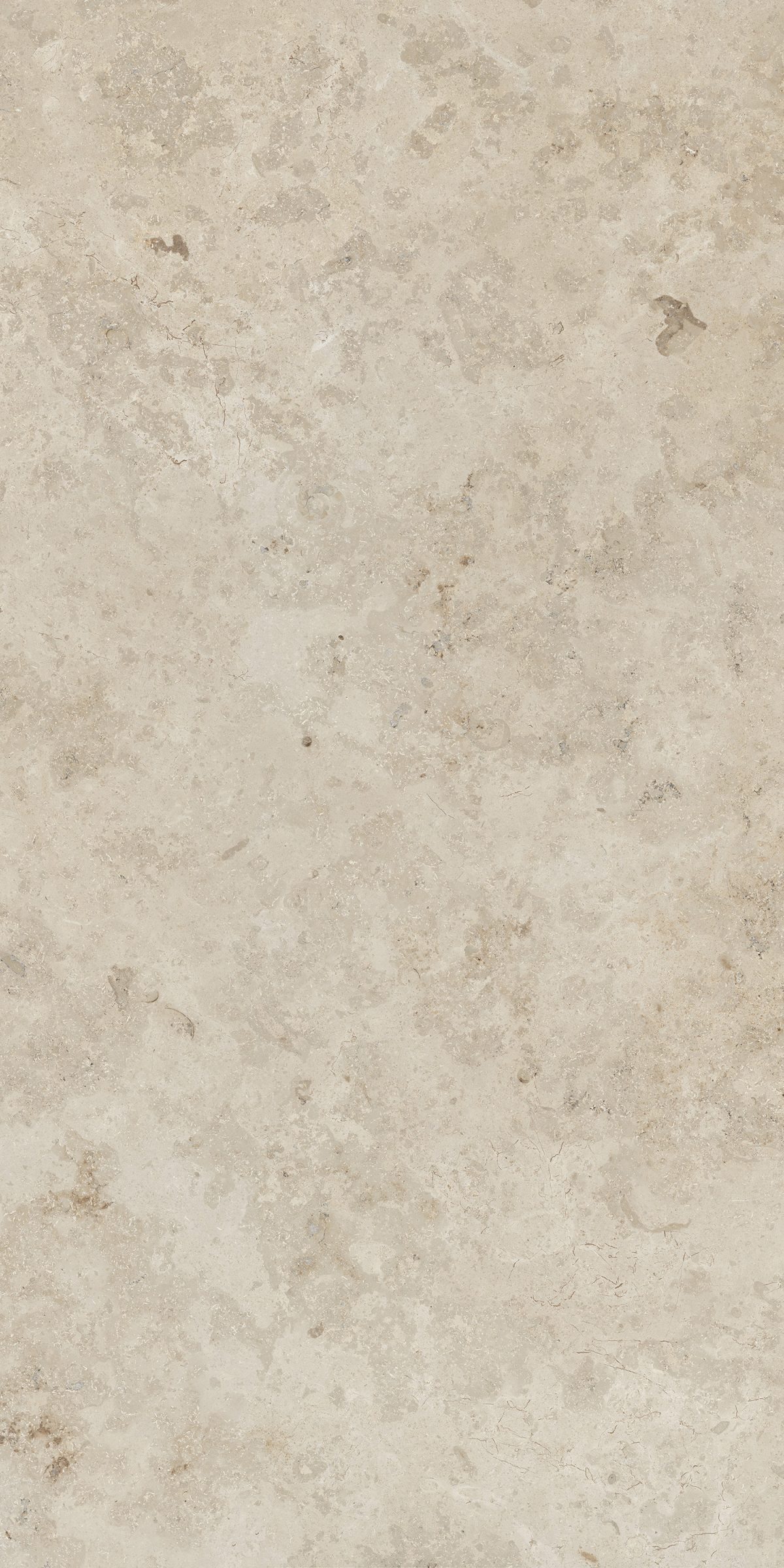 Serena Cream Rectified 23.5" x 47.25" Matte