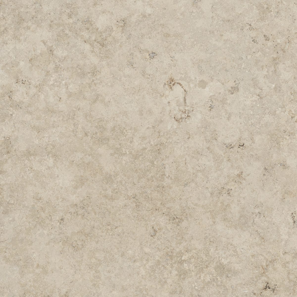 Serena Cream Rectified 23.5" x 23.5" Matte