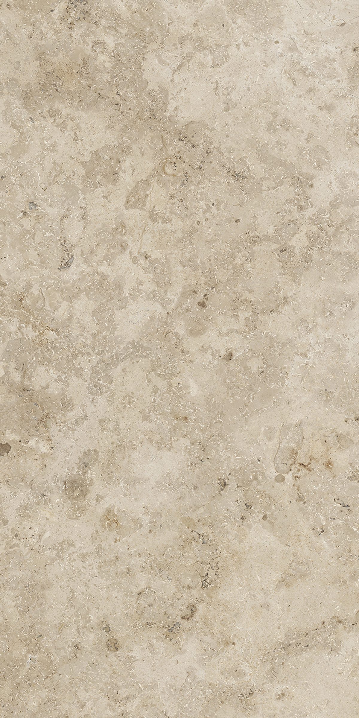 Serena Natural Rectified 23.5" x 47.25" Matte