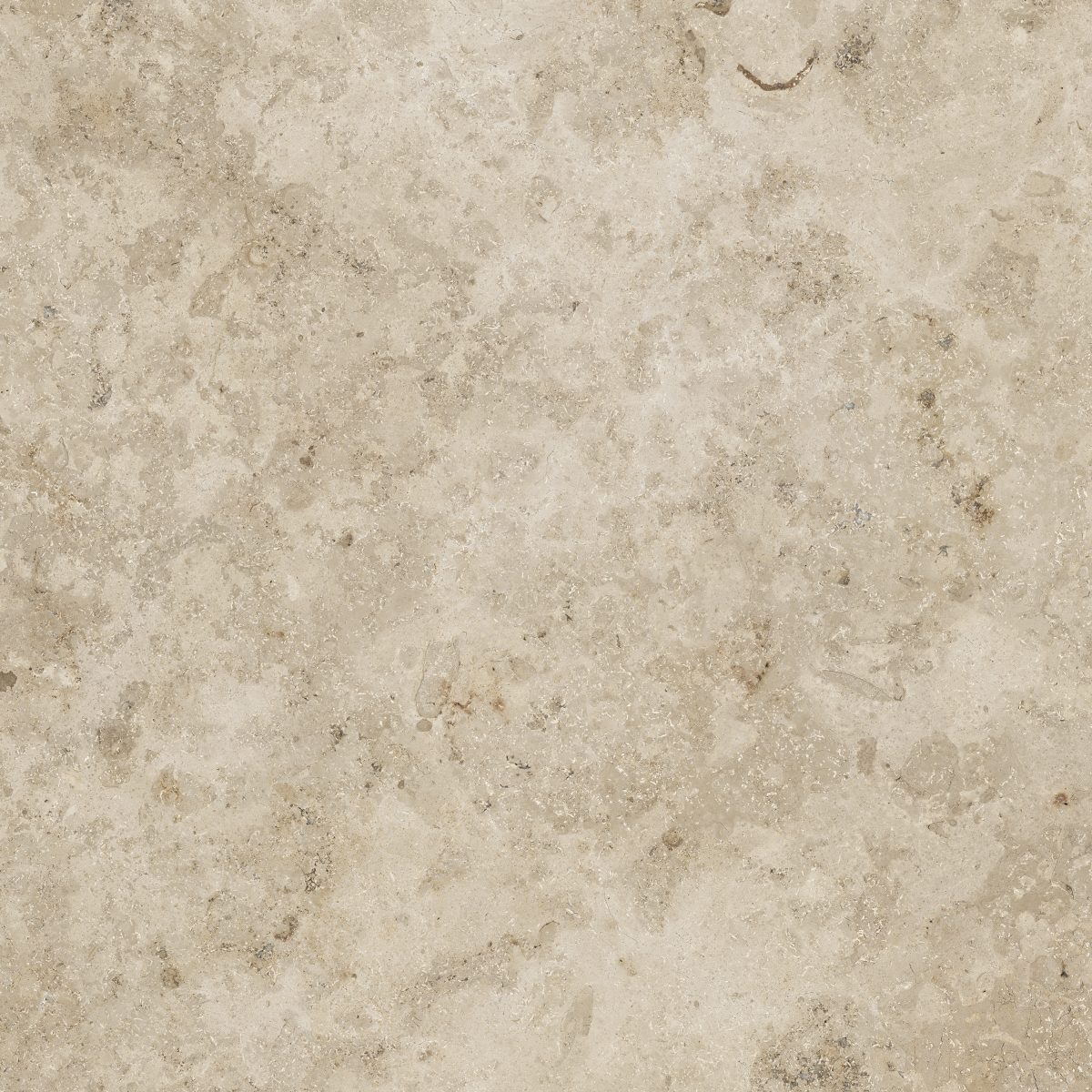 Serena Natural Rectified 23.5" x 23.5" Matte
