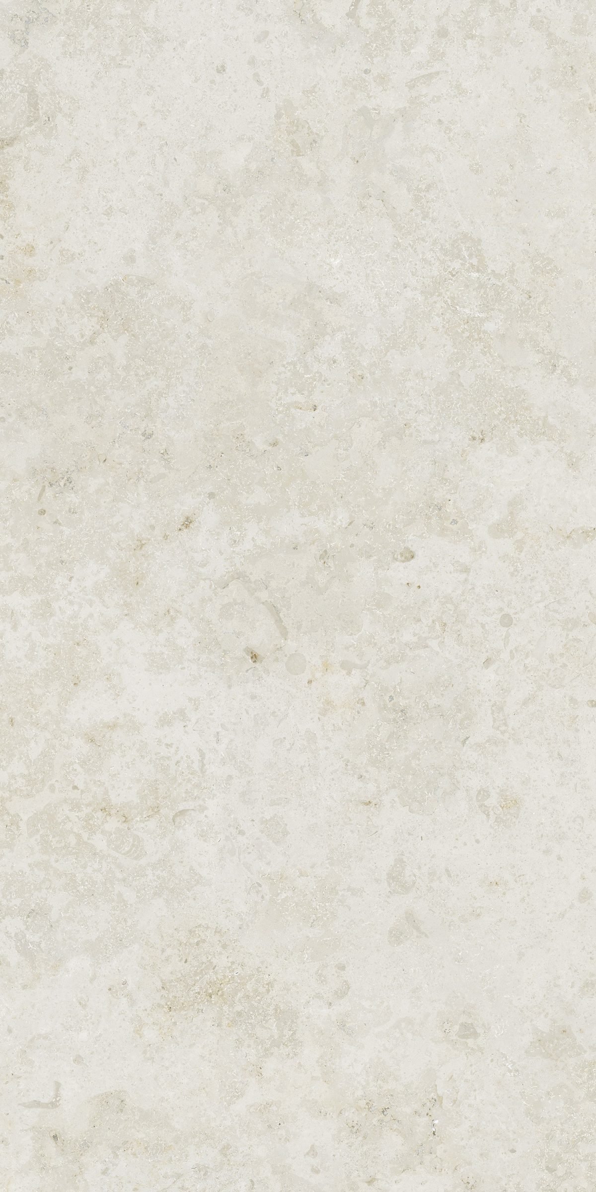 Serena White Rectified 23.5" x 47.25" Matte