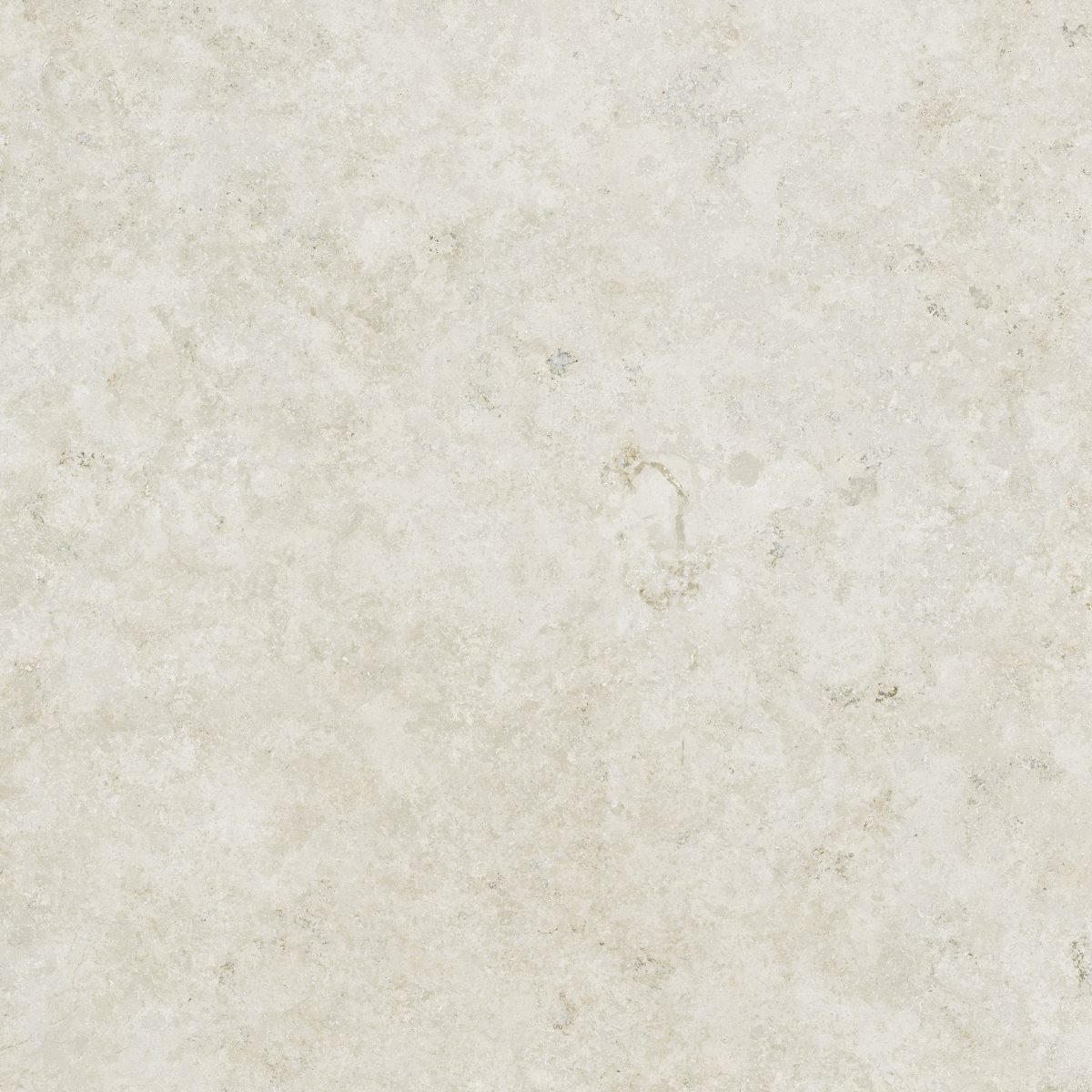 Serena White Rectified 23.5" x 23.5" Matte