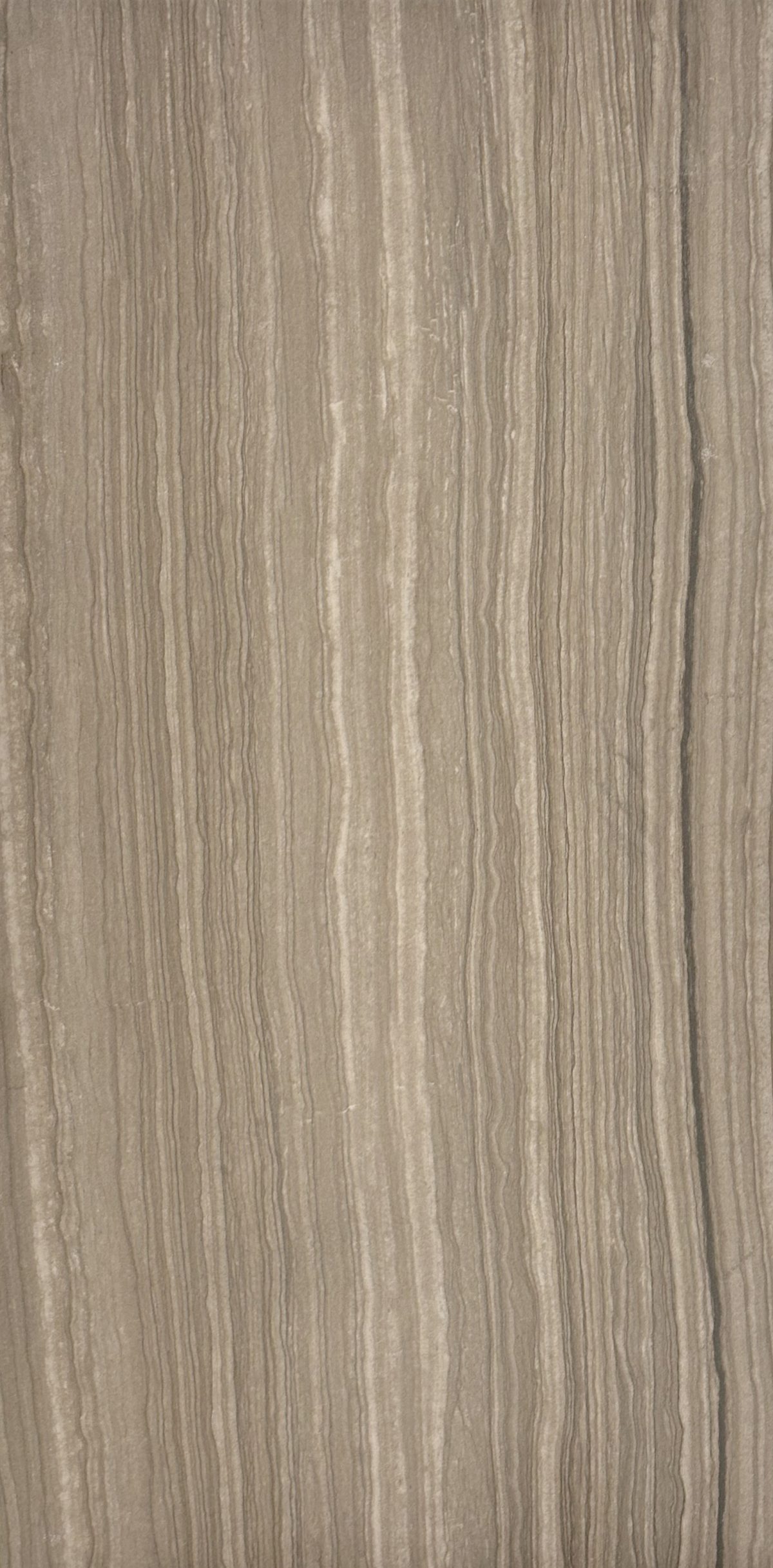 Timber Noce Matte 12" x 24"