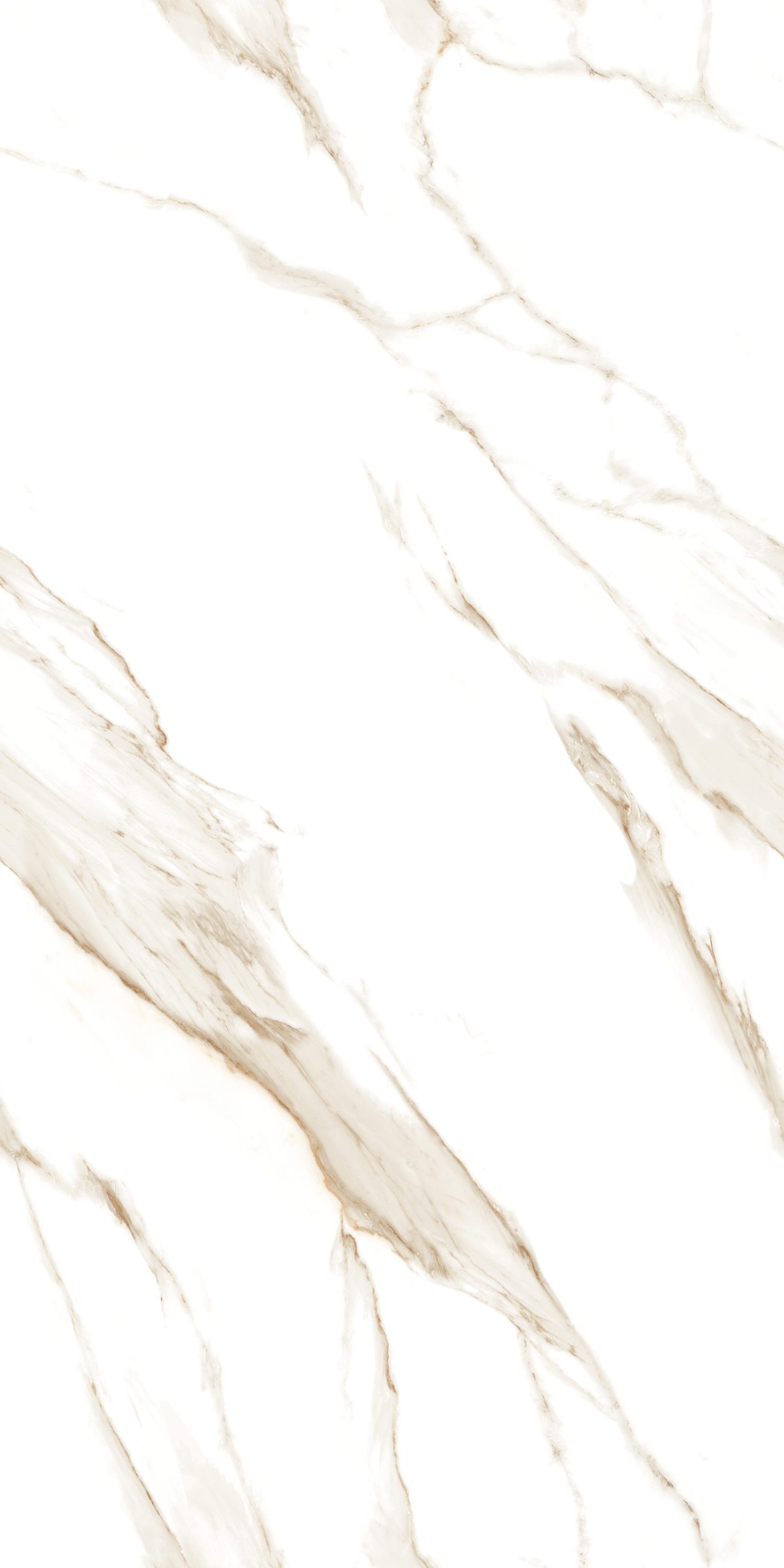 Statuario Gold Rectified 23.6" x 47.25" Polished