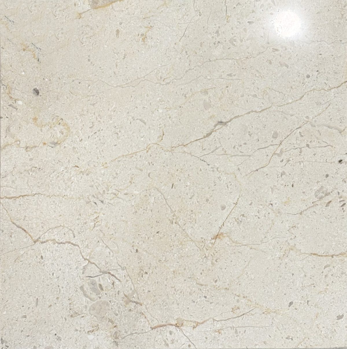 Marble Lotus Light-Cream 12'' x 12''
