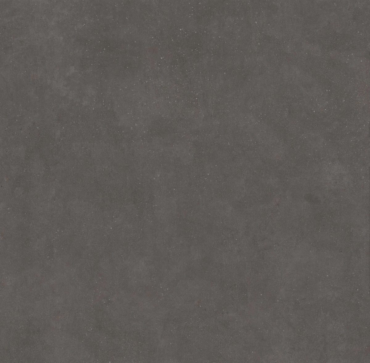 Concept Black Rectified 23.6" x 23.6" Matte