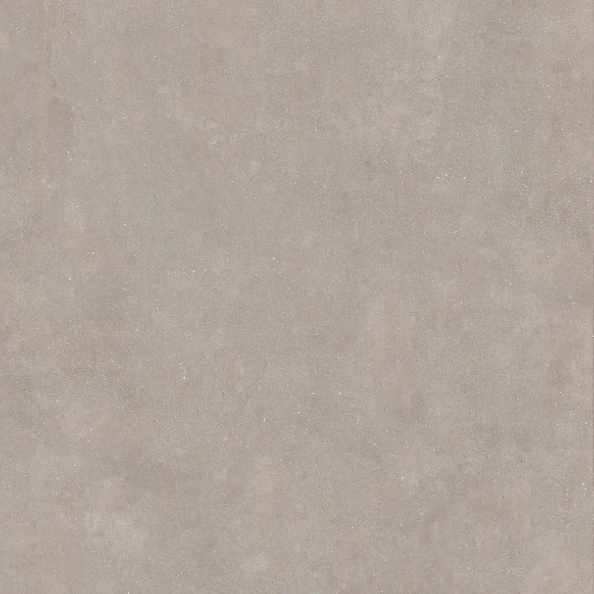 Concept Greige Rectified 23.6" x 23.6" Matte