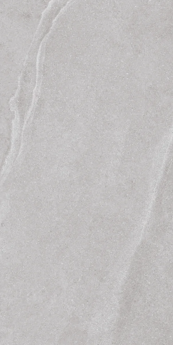 Austral Grey Rectified 23.5" x 47.25" Matte