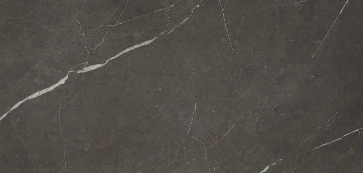 Piasentina Dark Grey Polished 11.25" x 22.5"