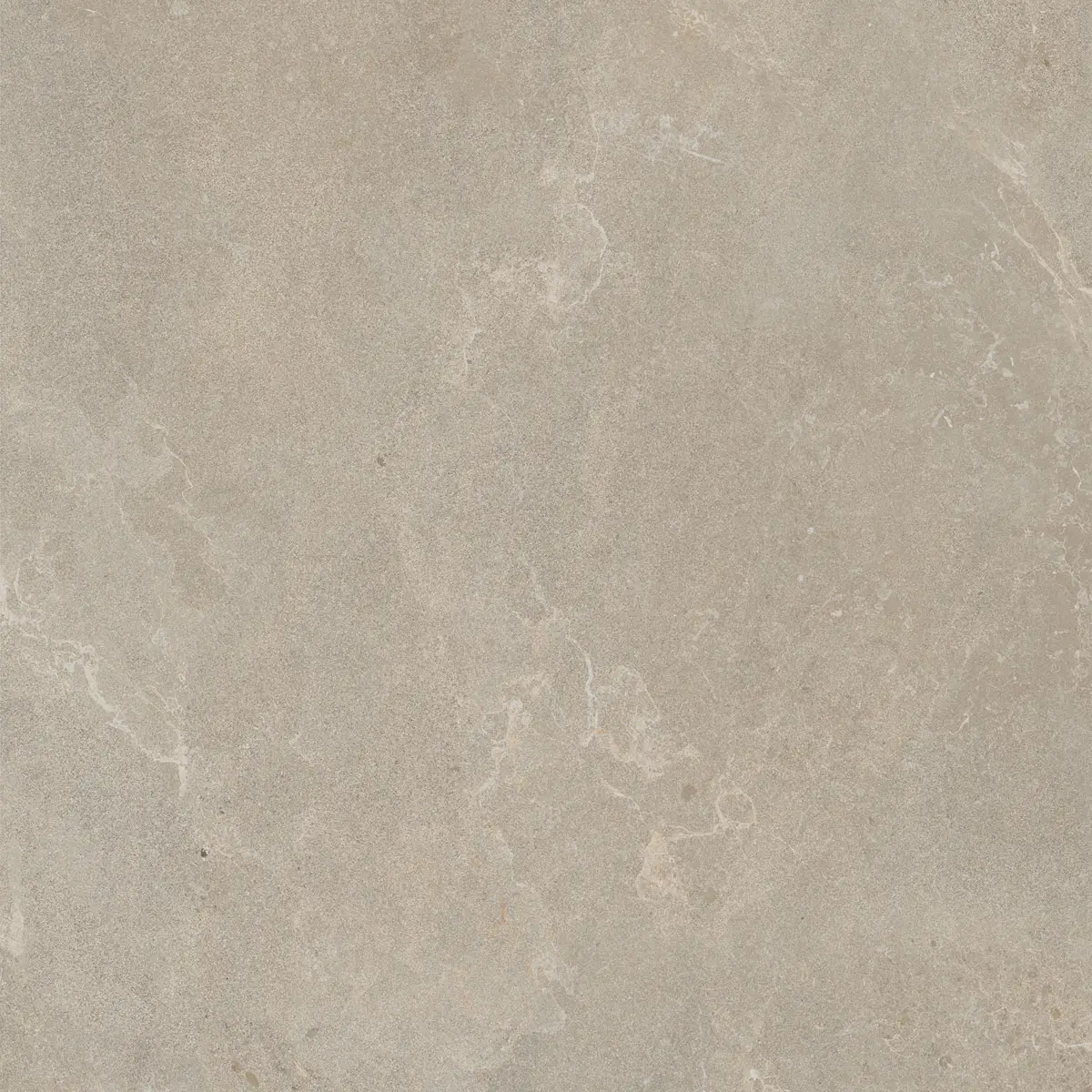 Monogram Lithic Rectified 23.5" x 23.5" Matte
