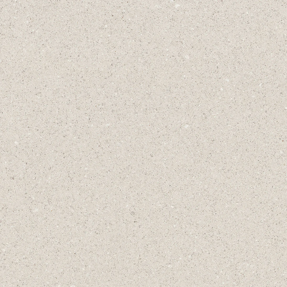 Saona Blanco Rectified 23.5" x 23.5" Matte