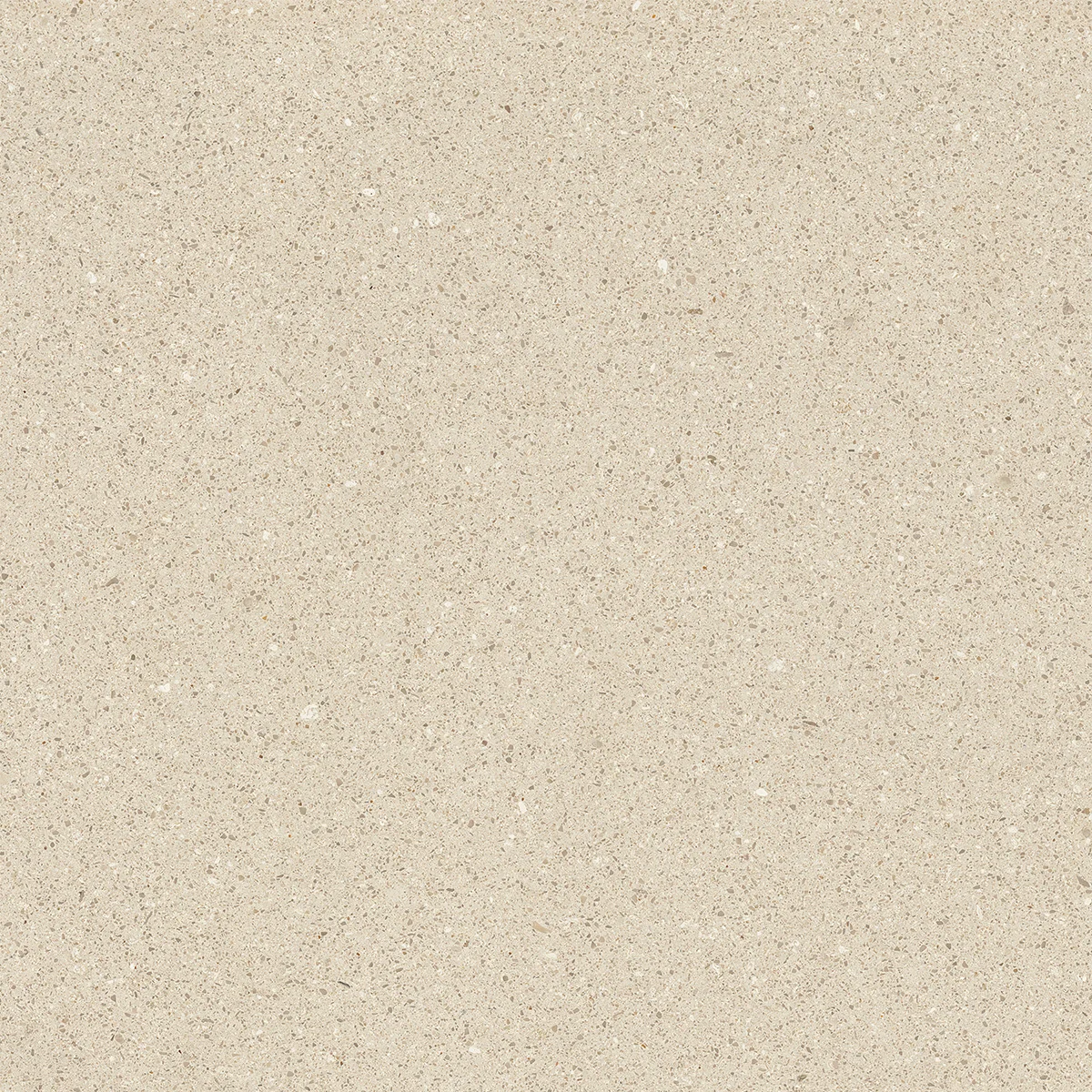 Saona Marfil Rectified 23.5" x 23.5" Matte