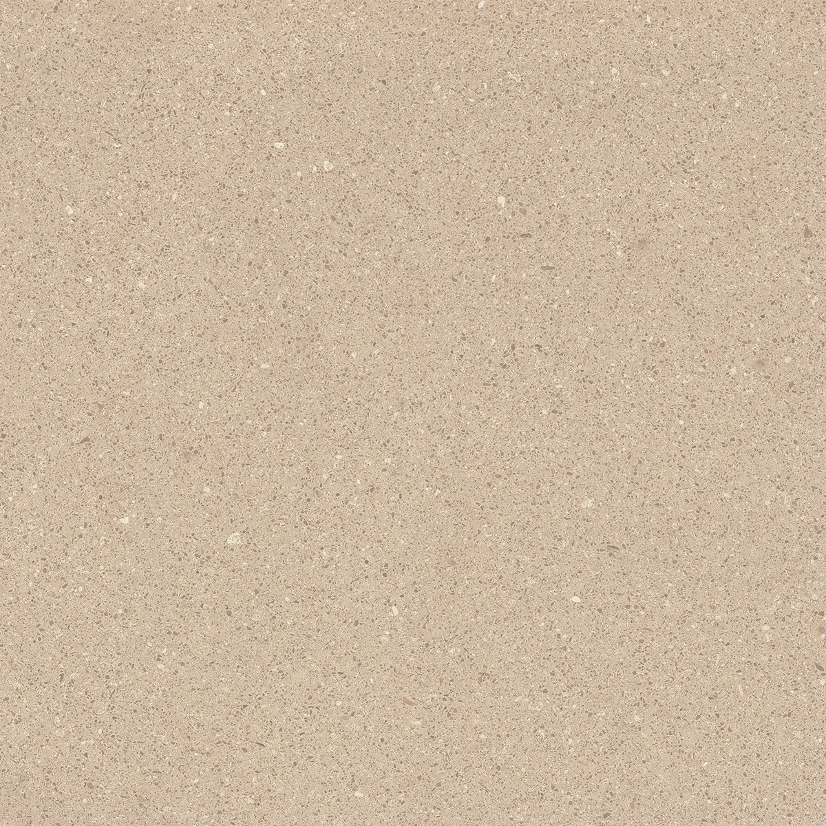 Saona Terracotta Rectified 23.5" x 23.5" Matte